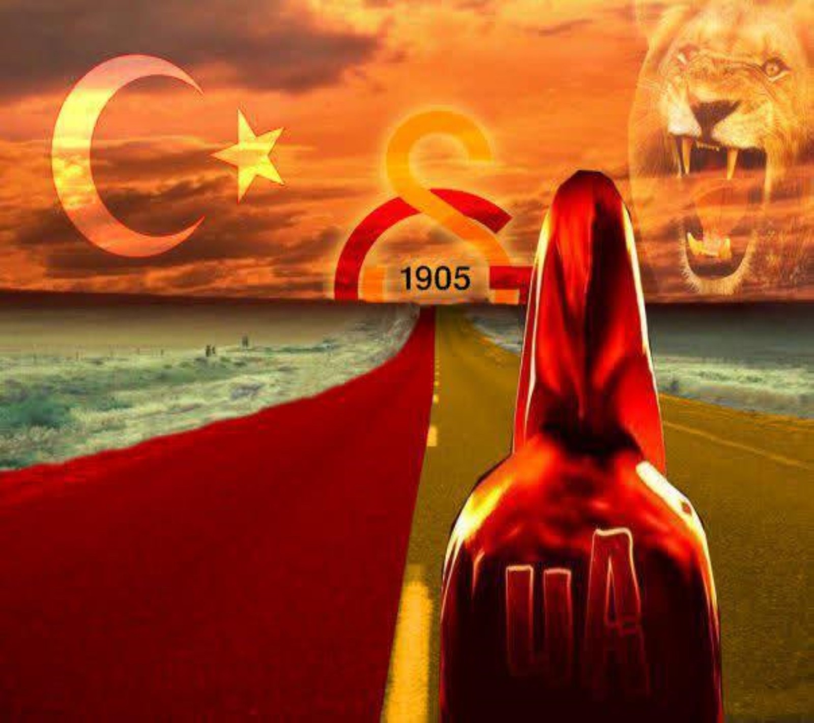 1905, 2145, aslan, cimbom, galatasaray wallpaper