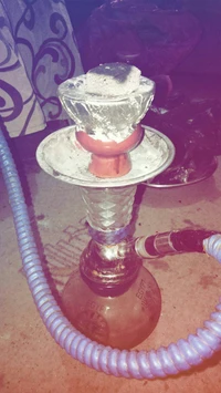 nacht, shesha