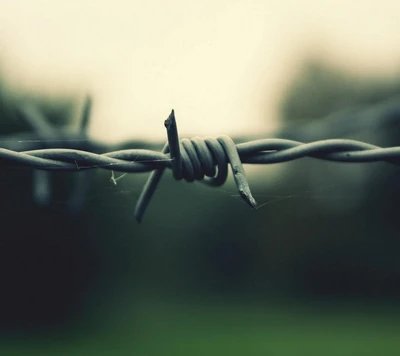 barbed, bokeh, close, iron, macro