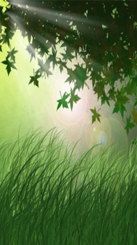 green, shine, sun wallpaper