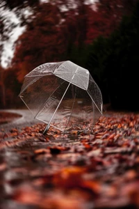 Autumn Reflection: A Transparent Umbrella Amidst Colorful Leaves