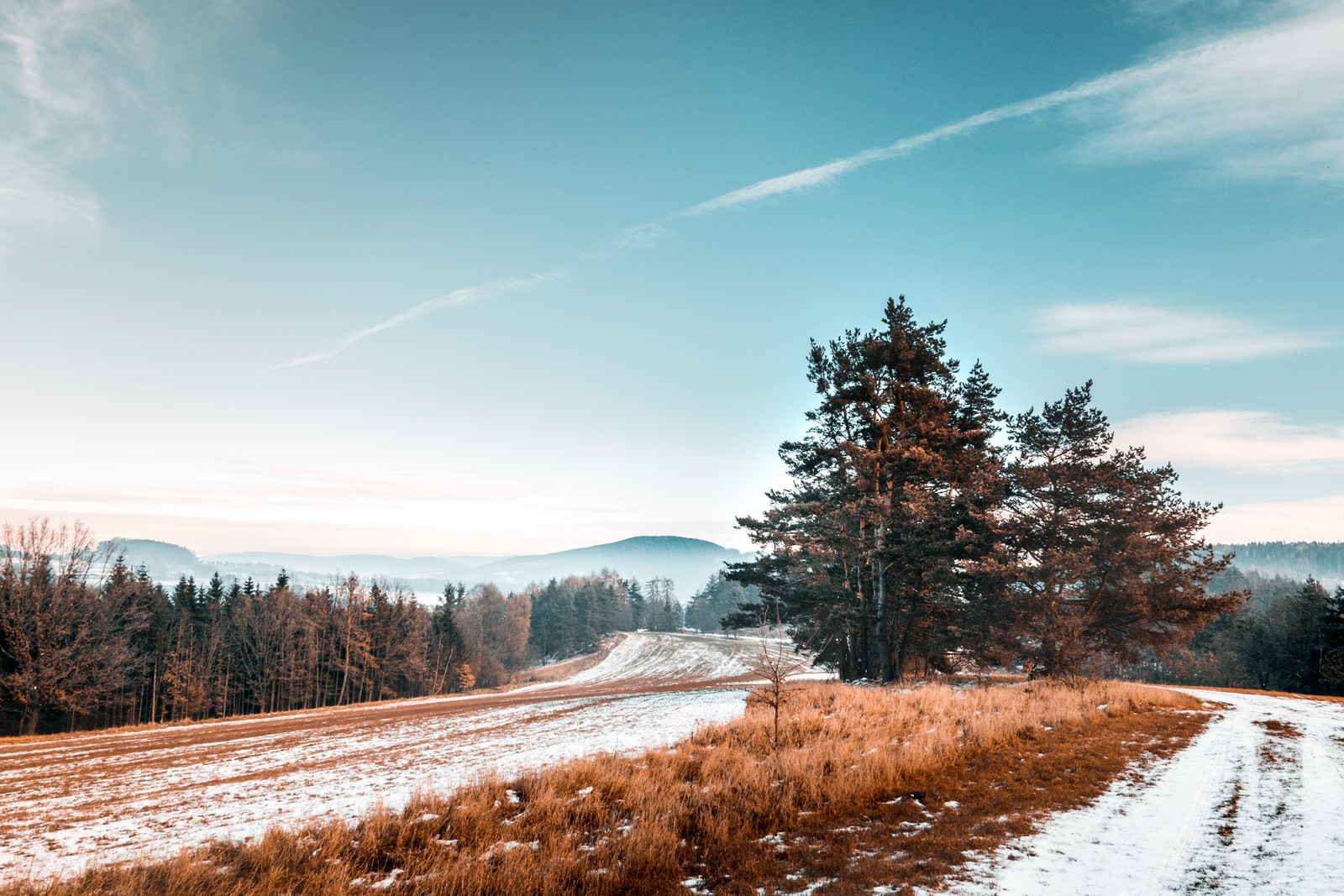 Eine aussicht auf einen schotterweg in einem feld mit einem baum in der ferne (natürliche landschaft, natur, winter, baum, schnee)