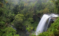 waterfall, water resources, vegetation, body of water, nature