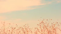 Silhouetted Plants Against a Soft Horizon at Dusk