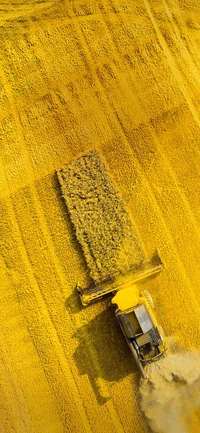 Yellow Harvest: Aerial View of a Combine Harvester in a Golden Field