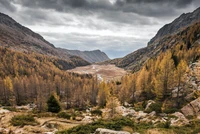 Valle montañoso sereno con bosques de alerce otoñales y un río serpenteante