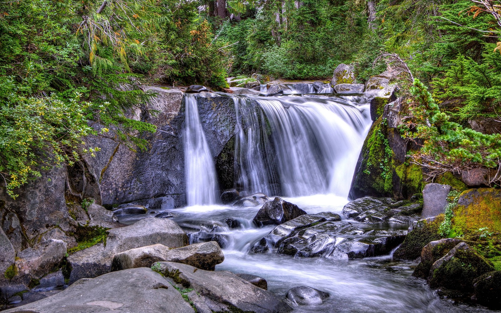 Eine nahaufnahme eines wasserfalls im wald mit steinen und bäumen (wasserfall, wasserressourcen, gewässer, natur, wasser)