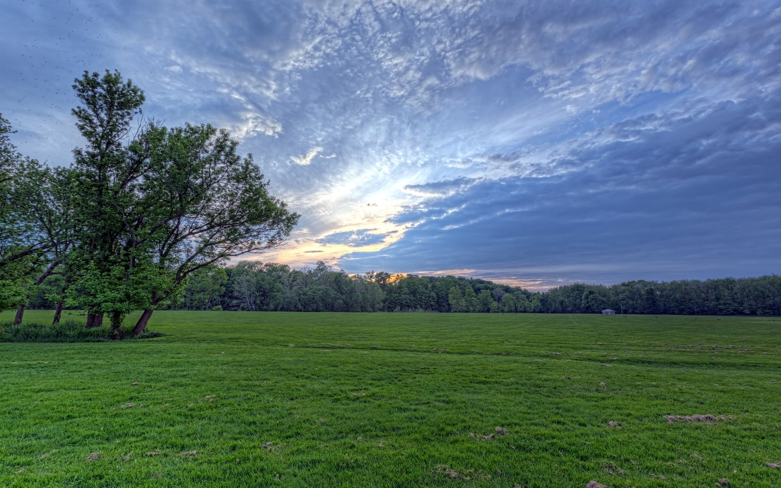 lawn, meadow, nature, cloud, grassland wallpaper