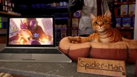 spider cat, marvels spider man miles morales, play station 5, ps5, video game wallpaper