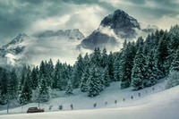 Pinos cubiertos de nieve contra majestuosos picos montañosos