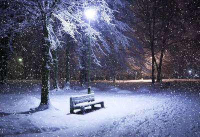 Noite de inverno serena: banco de parque coberto de neve sob árvores congeladas