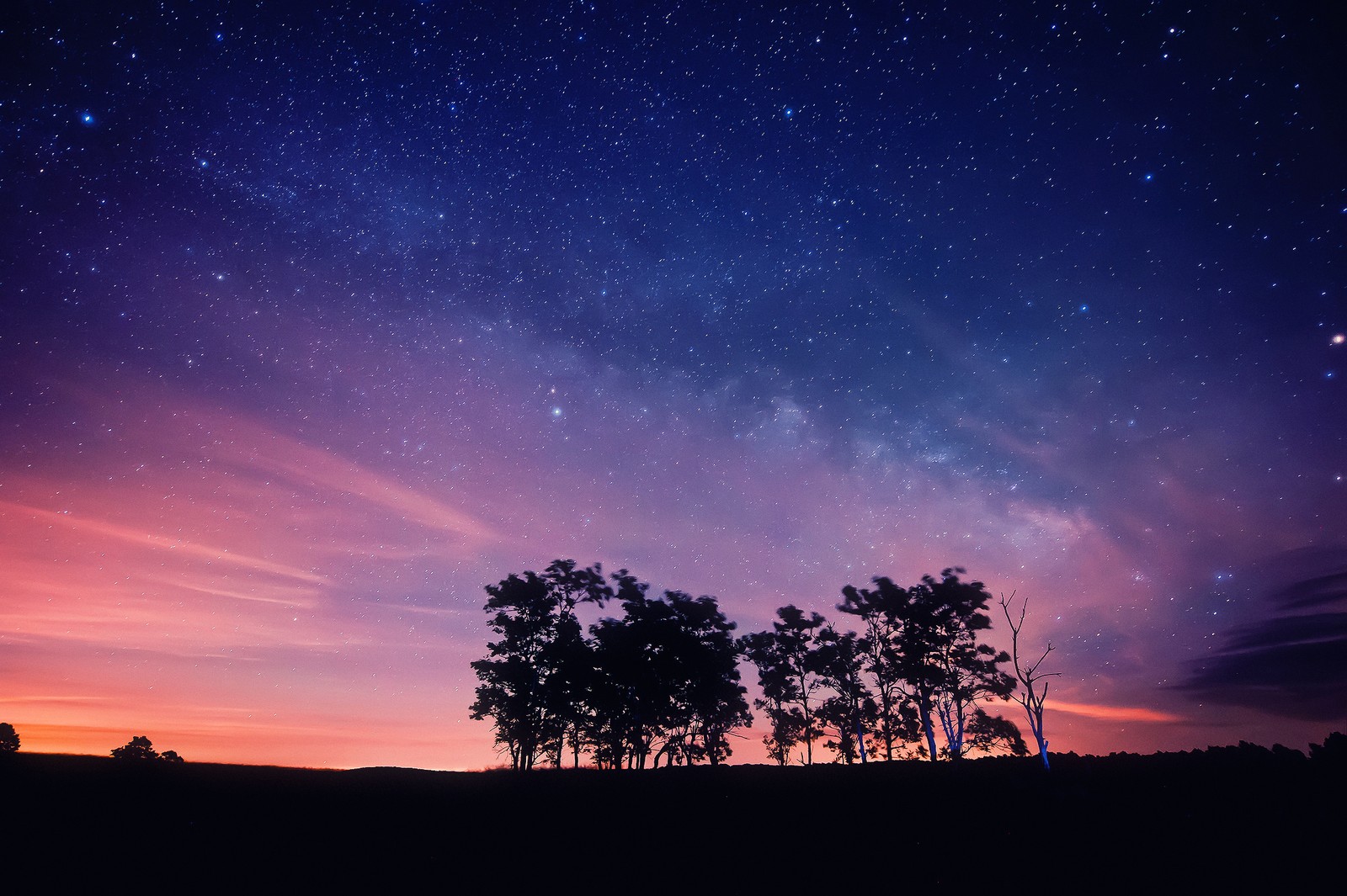 Uma vista de um campo com árvores e um céu cheio de estrelas (estrela, céu noturno, natureza, noite, nuvem)