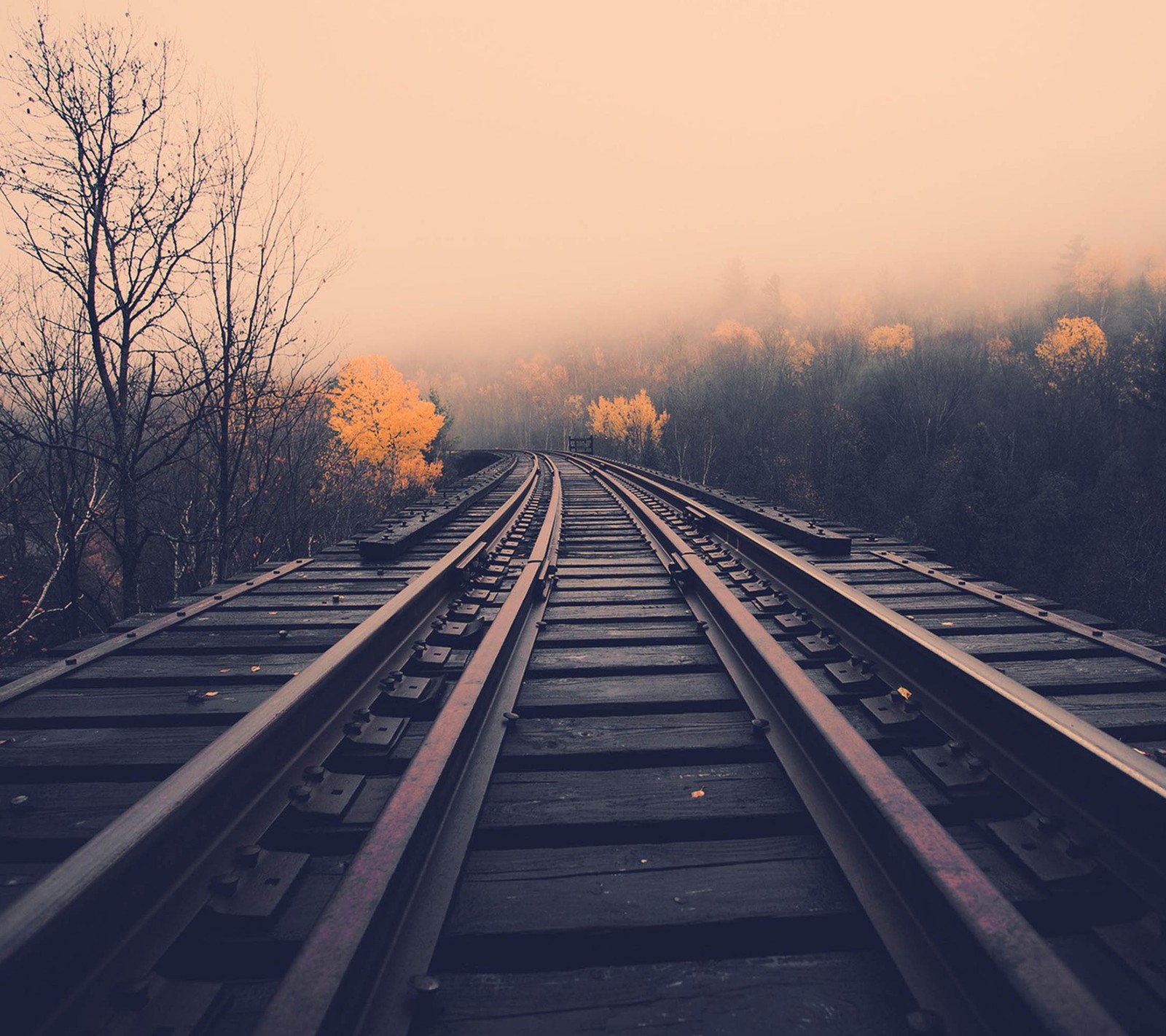 hd, rail, road, train wallpaper