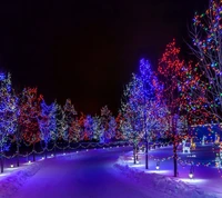 Enchanting Winter Night: A Pathway Illuminated by Colorful Holiday Lights