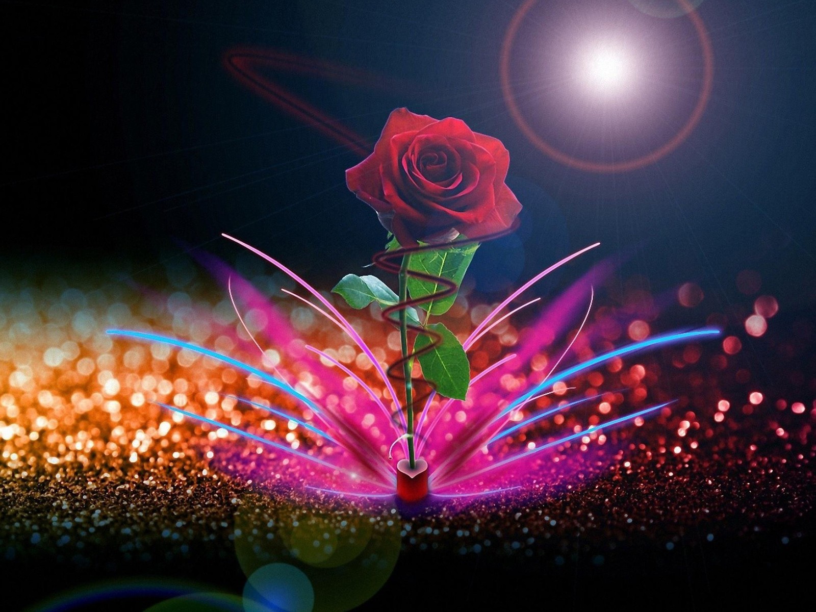 There is a rose that is sitting on a book with a light in the background (abstract, flower, nature, rose)