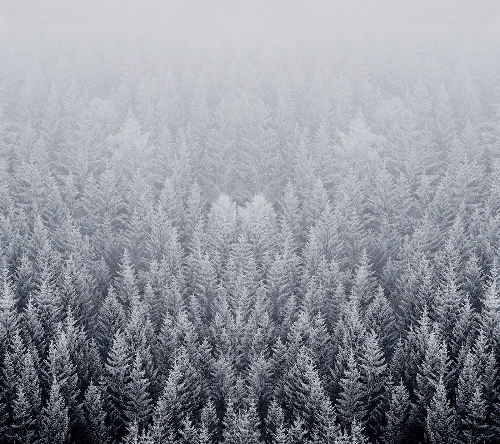 ios, iphone, iphone 6, mac, snow wallpaper