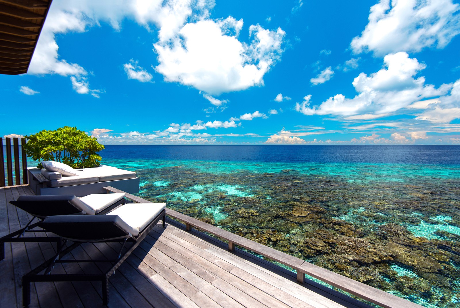 Uma vista do oceano de um deck com espreguiçadeiras (mar, maldivas, oceano, turismo, trópicos)