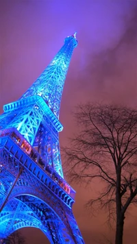 paris, tree