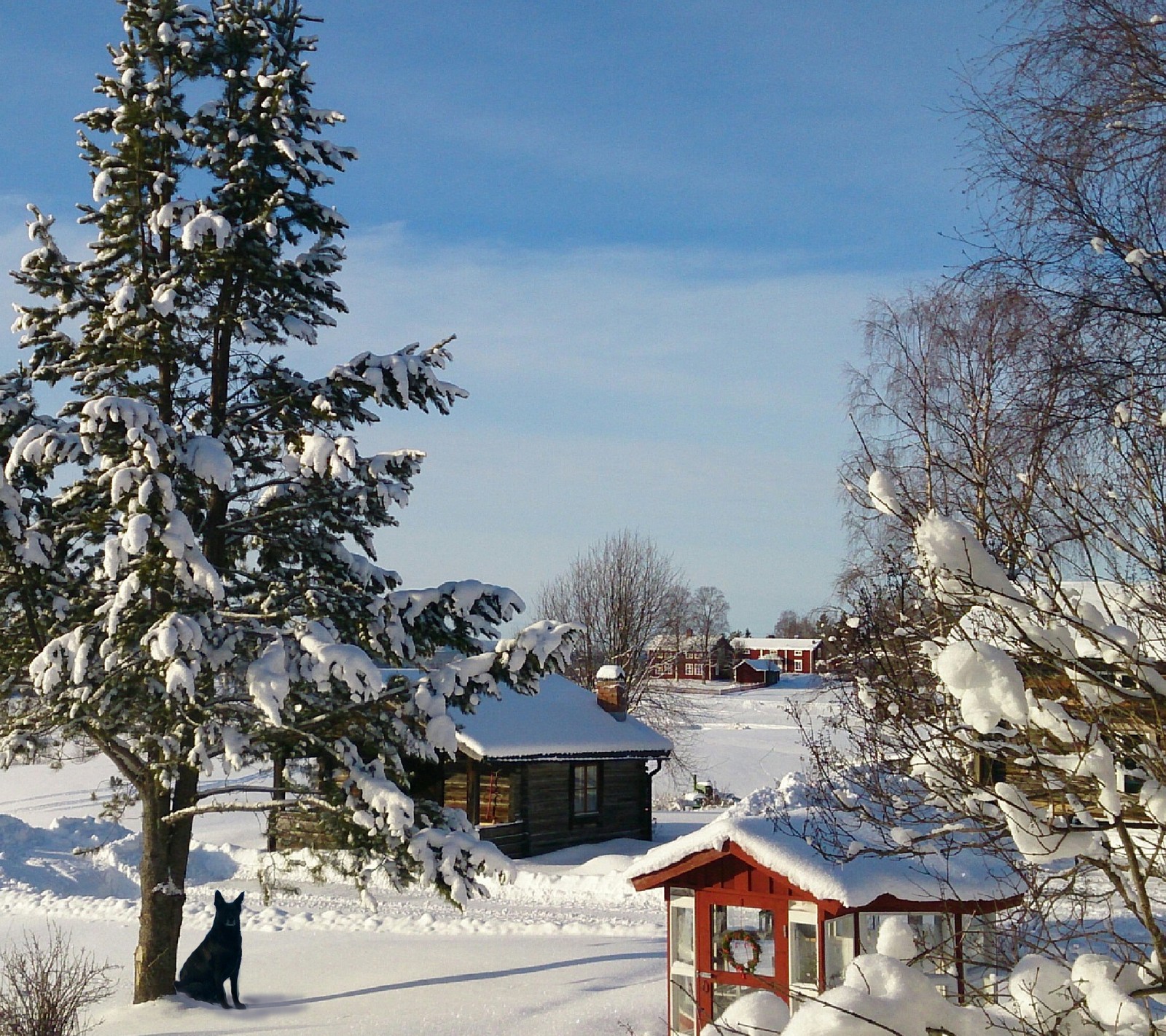 Scène enneigée d'une cabane et d'un chien dans la cour (laponia, nature, photo, hiver)