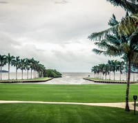 Lush Greenery Framing the Calm Ocean Under a Cloudy Sky in Florida