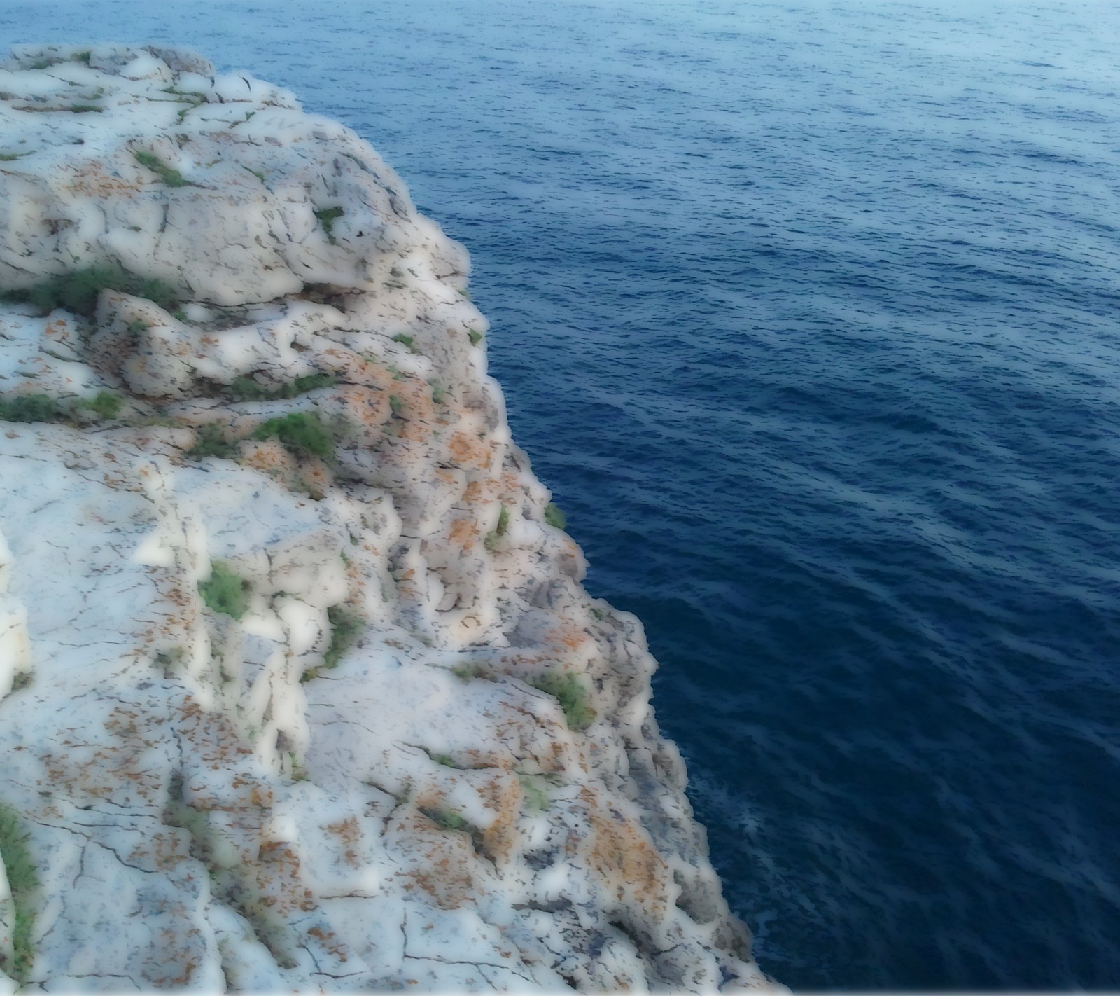 There is a man standing on a cliff overlooking the ocean (croatia, grass, holiday, ocean, rock)