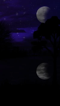 lune, nature, nuit, étoiles, arbres