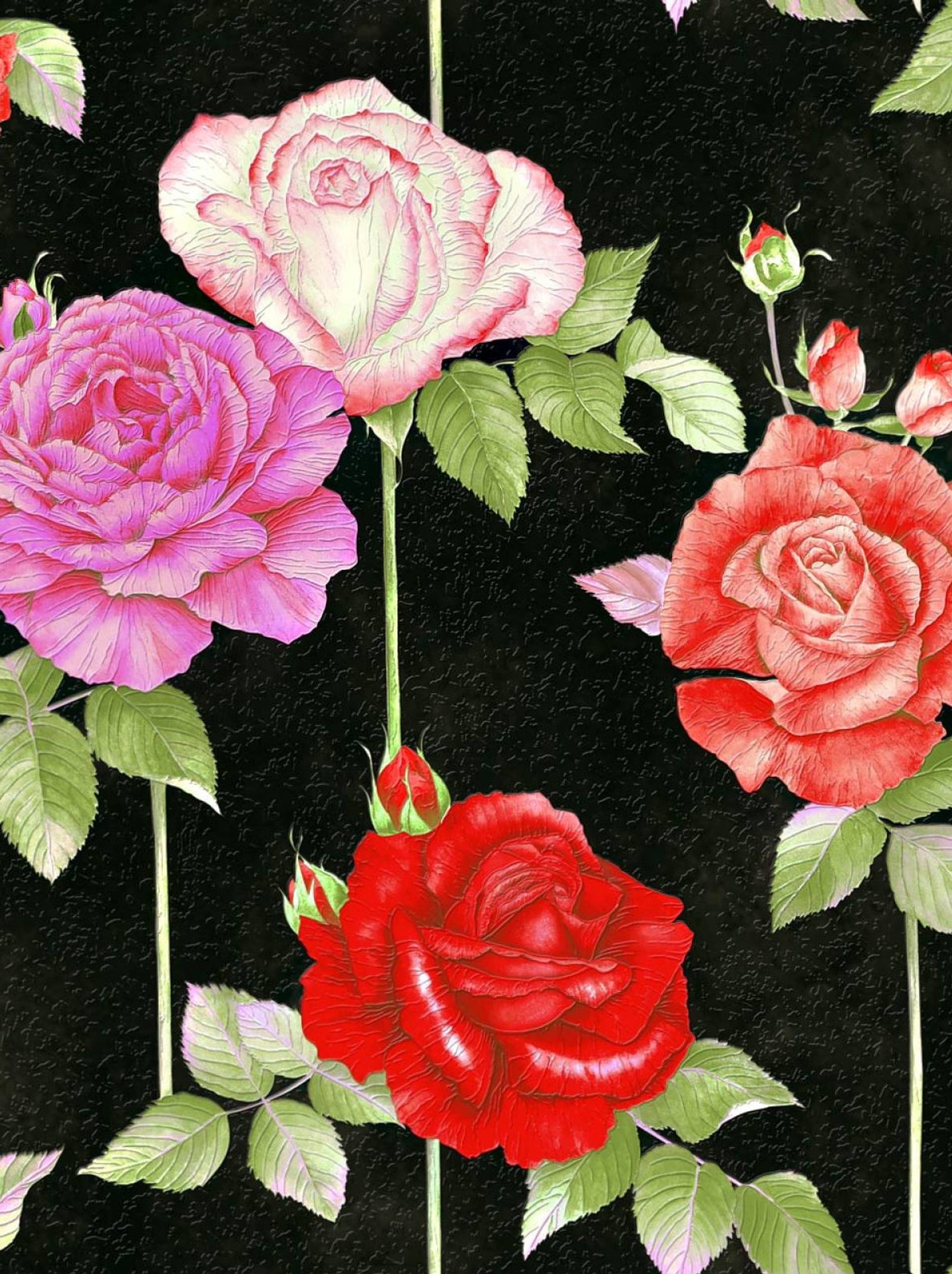 Un primer plano de una pintura de rosas sobre un fondo negro (flores, naturaleza, rosas)