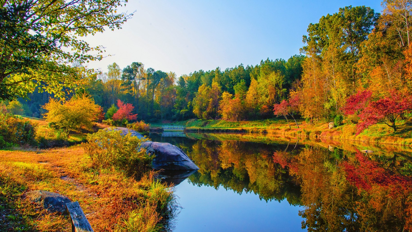 Une rivière entourée d'arbres aux feuilles colorées et de rochers (jardin botanique, nature, paysage, eau, ressources en eau)