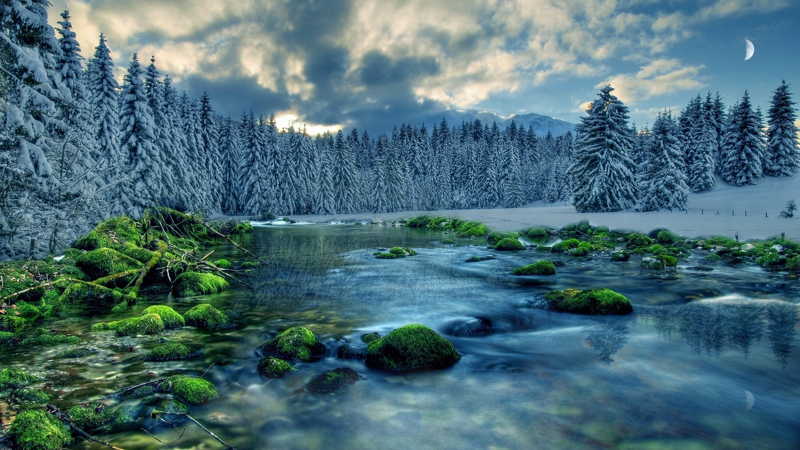 A view of a stream running through a forest filled with snow (landscape, nature, water, river, wilderness)