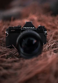 Цифровая зеркальная камера Pentax с объективом на естественном фоне