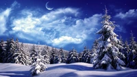 Winter Wonderland: Snow-Covered Pines Under a Starry Sky