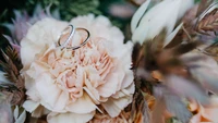 Bagues de mariage élégantes nichées dans un bouquet de pivoines