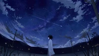 anime, mädchen, nacht, himmel, landschaft