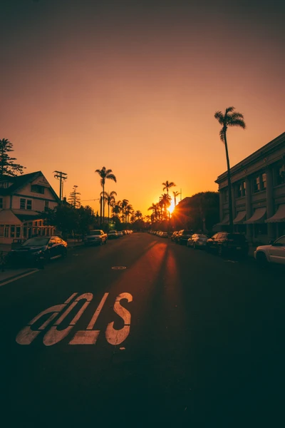 Pôr do sol sobre uma rua ladeada de palmeiras