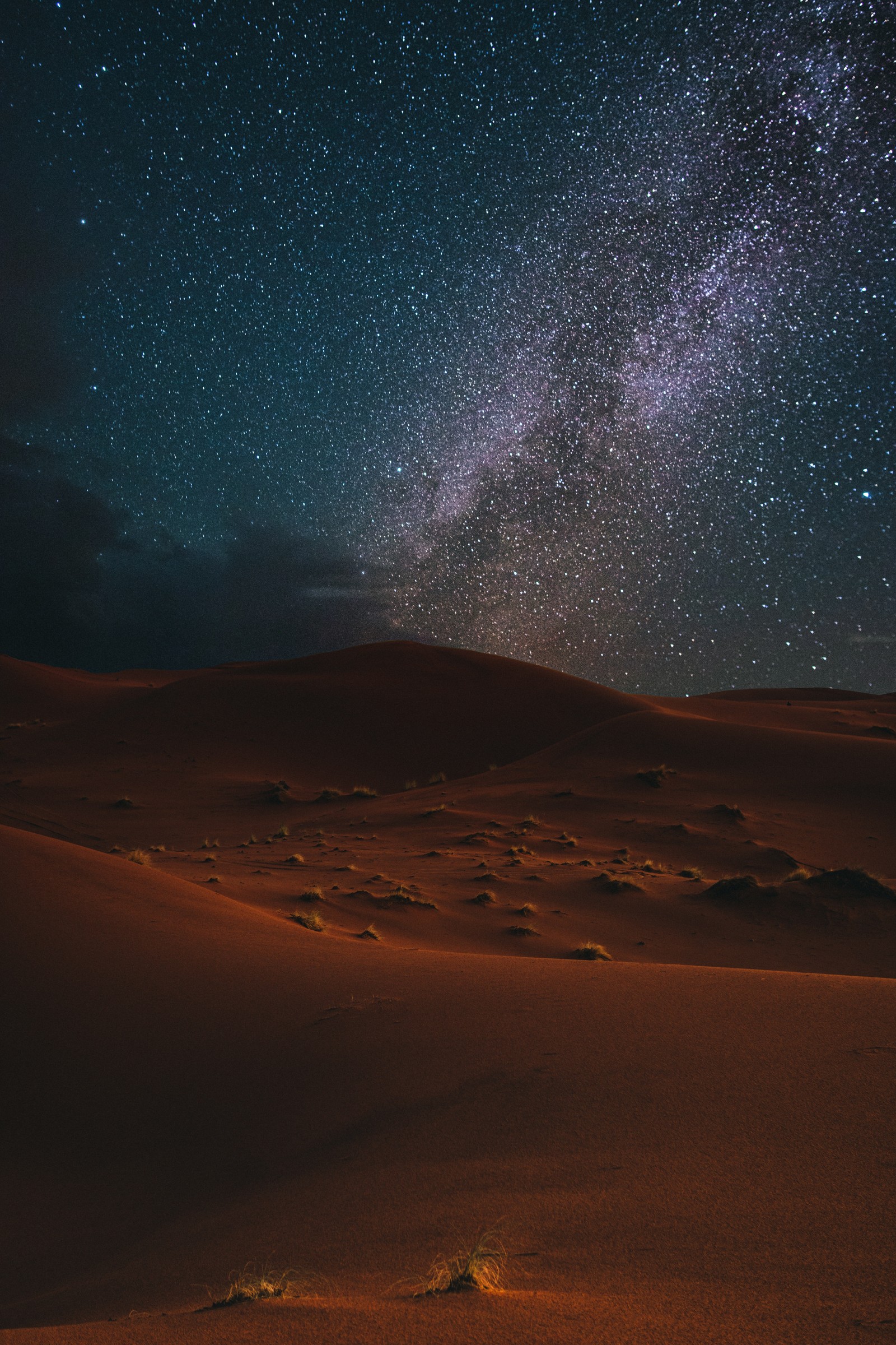 Noite estrelada no deserto com uma árvore solitária em primeiro plano (natureza, ambiente natural, noite, paisagem, atmosfera)