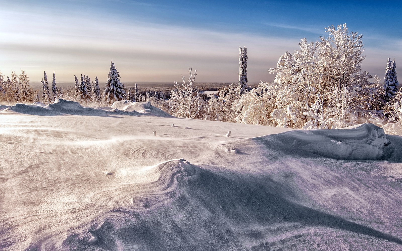 Snowy landscape with trees and snow covered ground in the foreground (winter, snow, nature, freezing, tree)