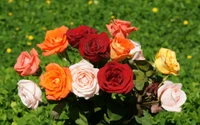 Ramo vibrante de rosas floribunda multicolores en flor