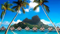 Tropical Paradise: Overwater Bungalows with Palm Trees and Mountain Views in Moorea, Tahiti.