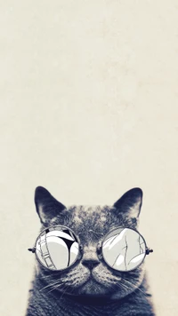 Cat in stylish round glasses against a minimalist background.