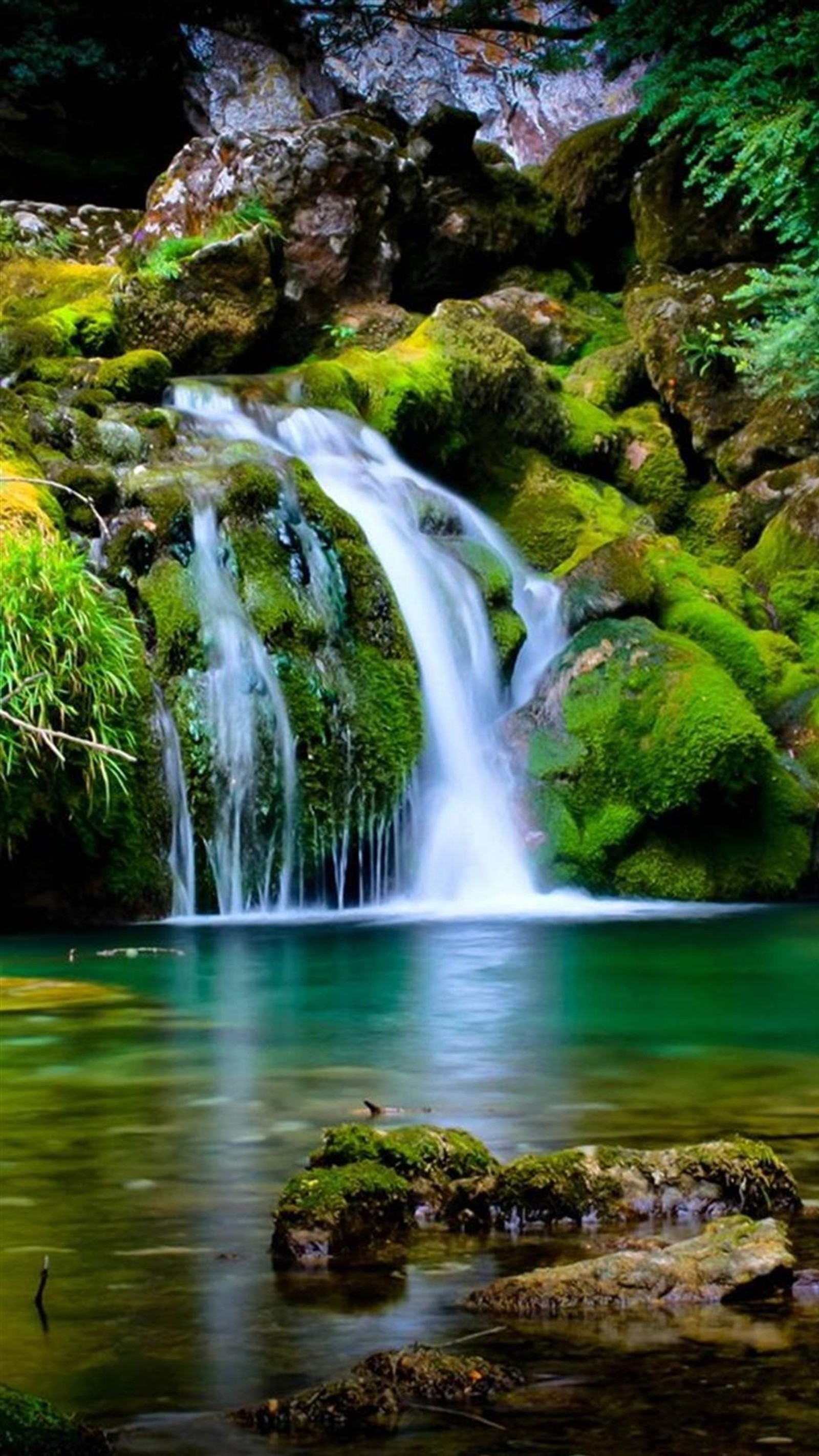 Gros plan d'une cascade avec de la mousse sur les rochers (beau, galaxie, hd, naturel, nature)