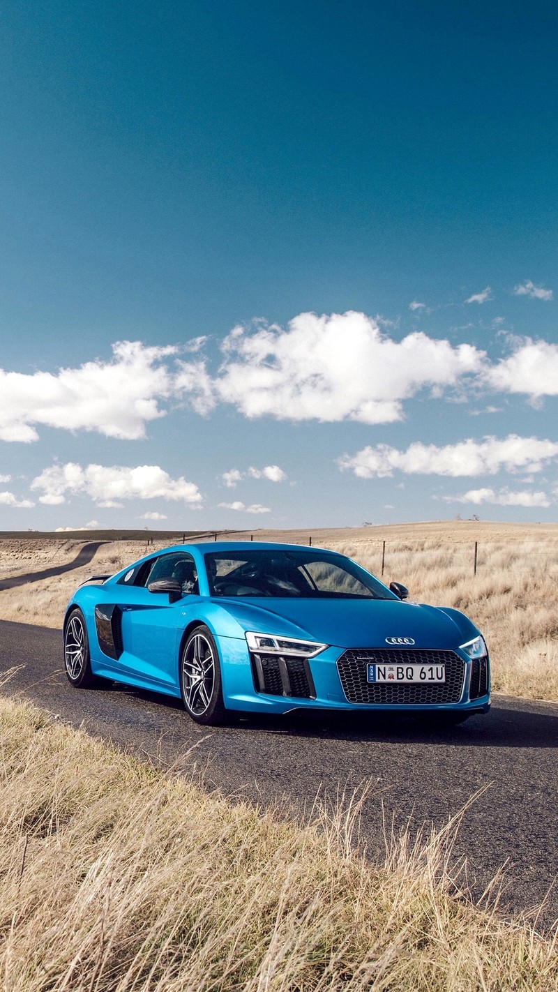 Синий спортивный автомобиль audi едет по дороге в середине поля (1080x1920, audi r8 v10 plus, машины)