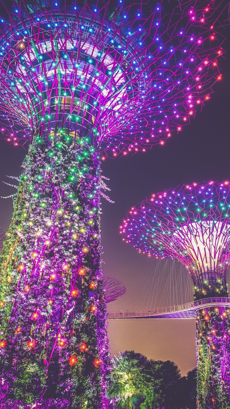 Un primer plano de un grupo de árboles com luces nelas (artificial trees, iluminación)