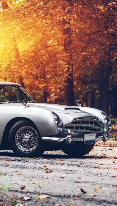 Classic Silver Convertible in Autumn Landscape