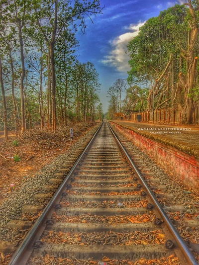 Scenic Railway Tracks Under a Blue Sky