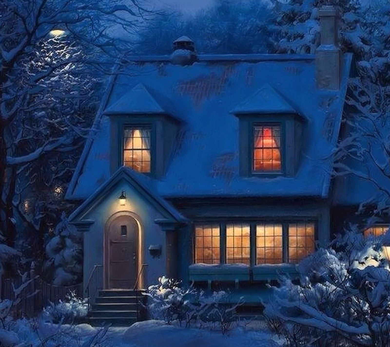 A close up of a house with a lit christmas tree in the front yard (holiday, night, winterscenery)