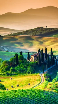 Sereno paisaje toscano con colinas onduladas y viñedos al atardecer