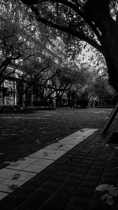 Rua urbana tranquila em preto e branco, emoldurada por árvores que soltam folhas de outono.