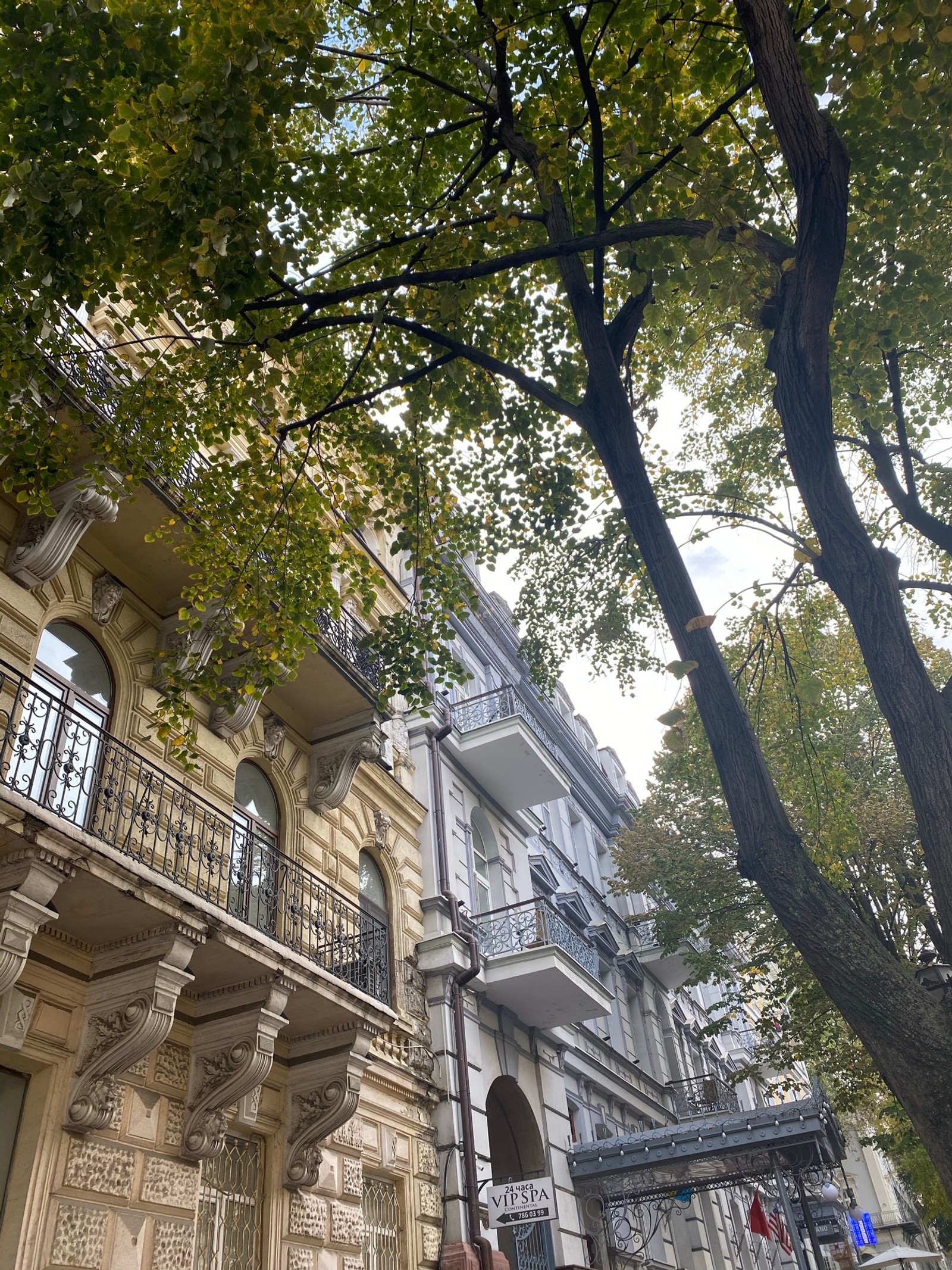 Hay una mujer caminando por la calle frente a un edificio (árbol, ramo, vecindario, arquitectura, fachada)