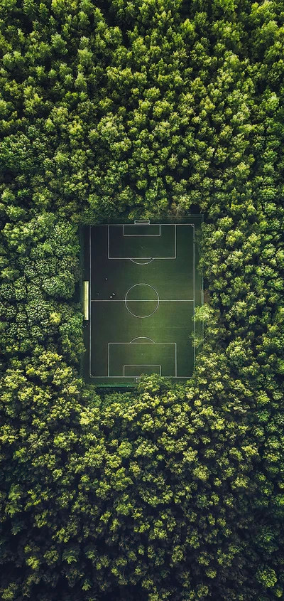 Terrain de football entouré d'une forêt luxuriante