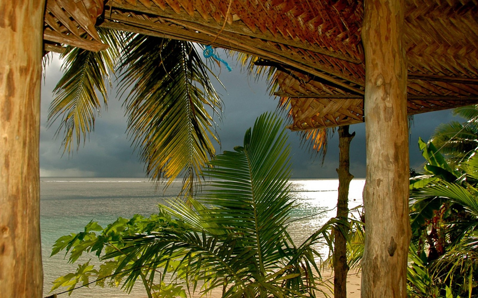 Il y a une vue sur une plage avec une cabane et des palmiers (arbre, palmier, tropiques, ciel, station)